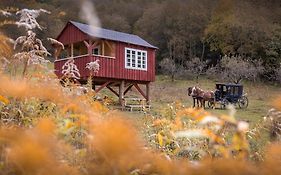 Valea Verde Retreat Transilvania
